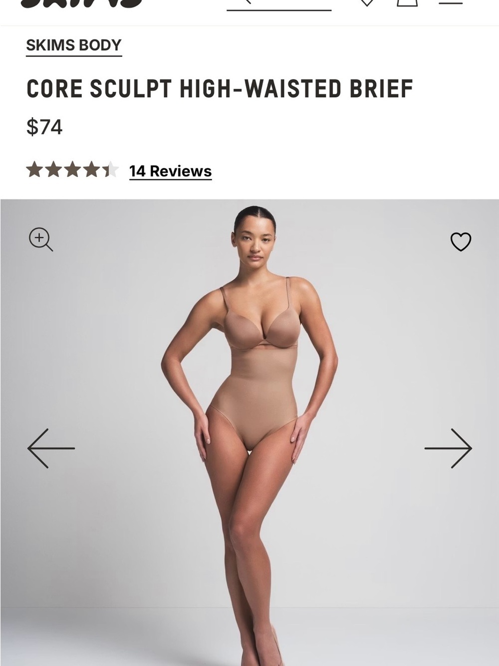 SKIMS Core Sculpt High-Waisted Brief — Sienna NWT
